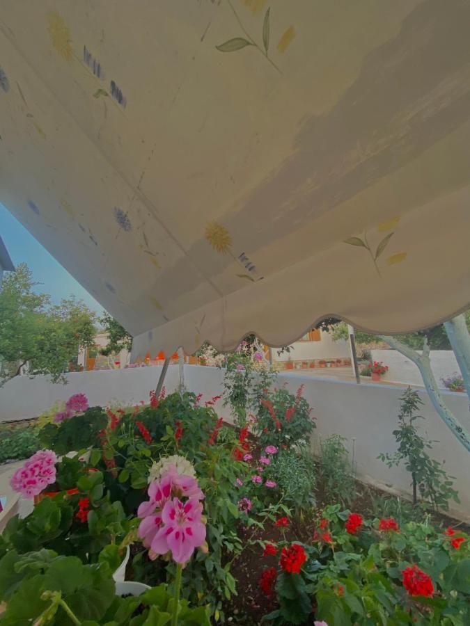 Apartments Vela קסאמיל מראה חיצוני תמונה